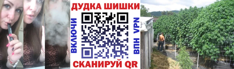блэк спрут онион  где найти наркотики  Усть-Лабинск  Каннабис гибрид 
